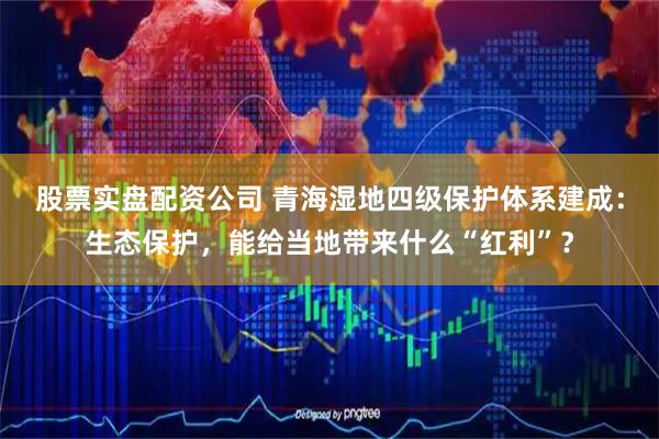 股票实盘配资公司 青海湿地四级保护体系建成：生态保护，能给当地带来什么“红利”？